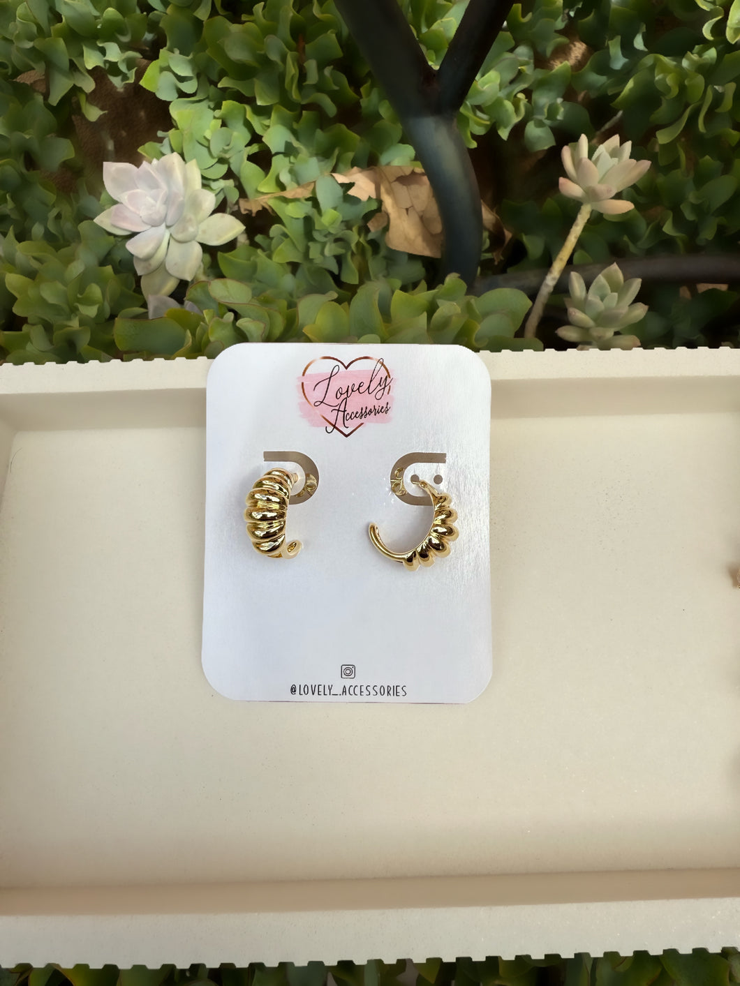 Shelly Earrings ✨