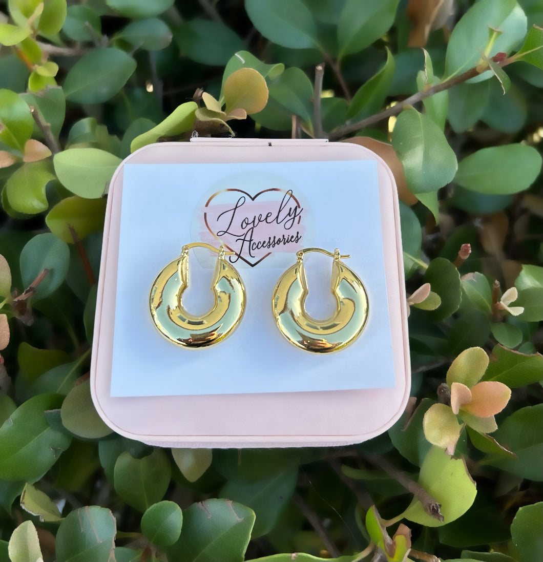Lilian Chunky Hoop Earrings ✨